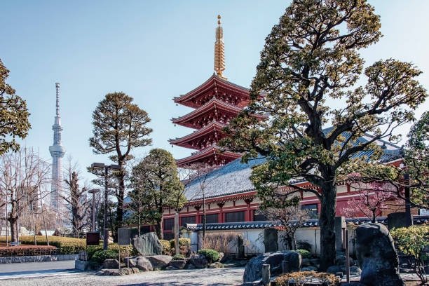 istockphoto-1404688320-612×612 Asakusa, Tokyo, Japan - February 2019 - Senso-ji temple in Asakusa district, Tokyo